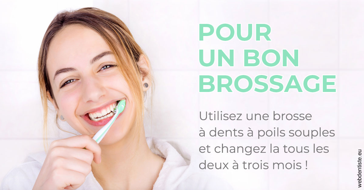 https://www.drs-wang-nief-bogey-orthodontie.fr/Pour un bon brossage 2