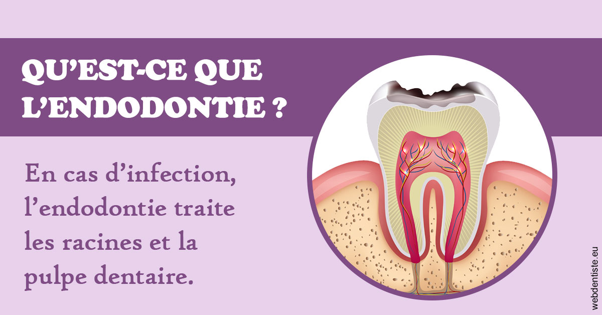 https://www.drs-wang-nief-bogey-orthodontie.fr/2024 T1 - Endodontie 02