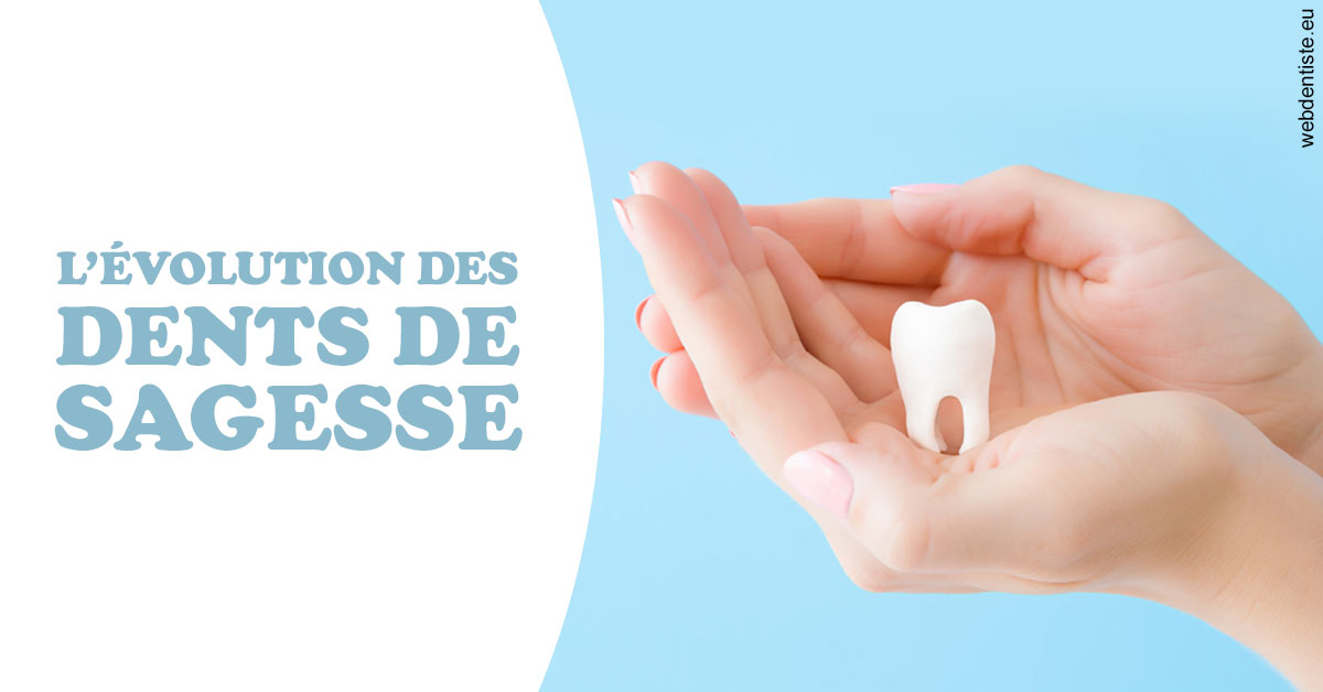 https://www.drs-wang-nief-bogey-orthodontie.fr/Evolution dents de sagesse 1