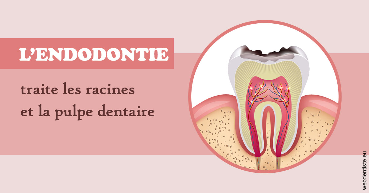 https://www.drs-wang-nief-bogey-orthodontie.fr/L'endodontie 2