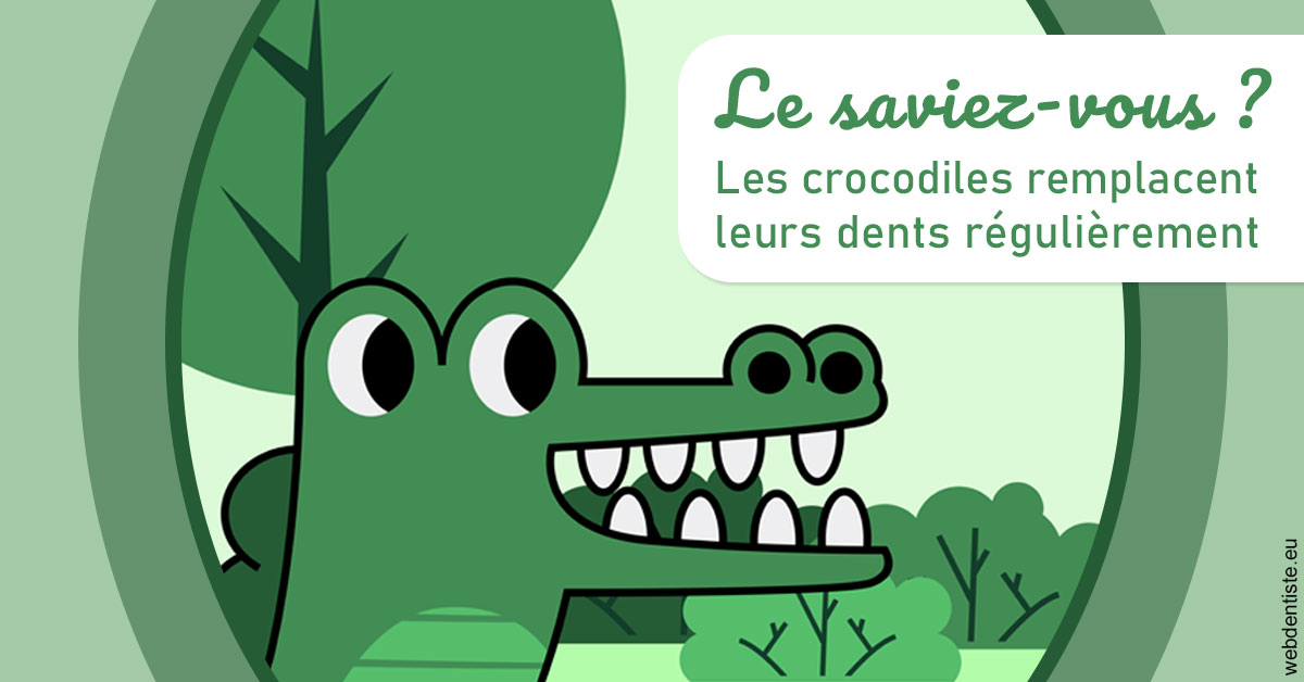 https://www.drs-wang-nief-bogey-orthodontie.fr/Crocodiles 2