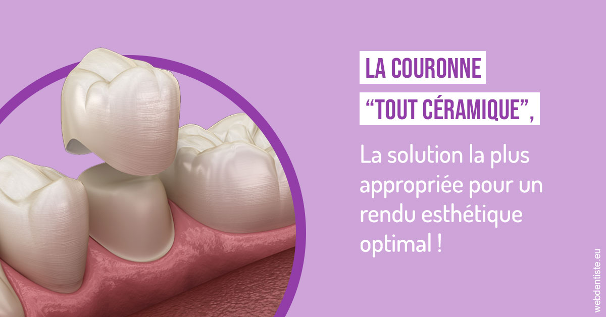 https://www.drs-wang-nief-bogey-orthodontie.fr/La couronne "tout céramique" 2
