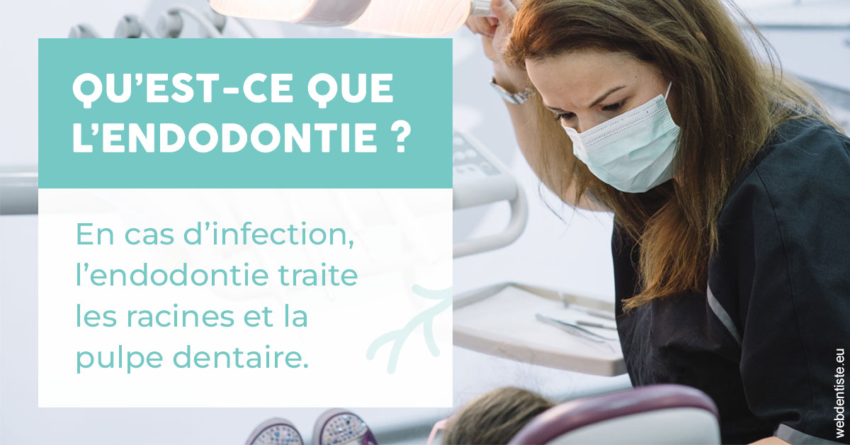 https://www.drs-wang-nief-bogey-orthodontie.fr/2024 T1 - Endodontie 01